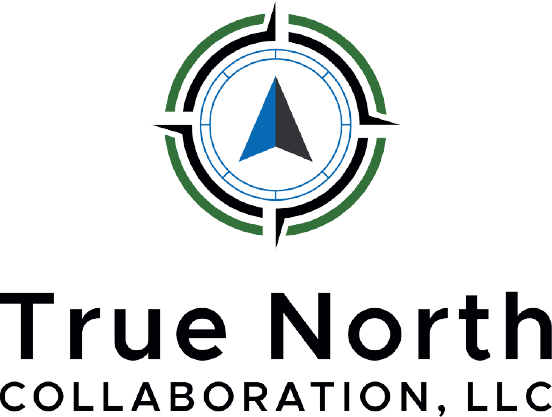 True North logo